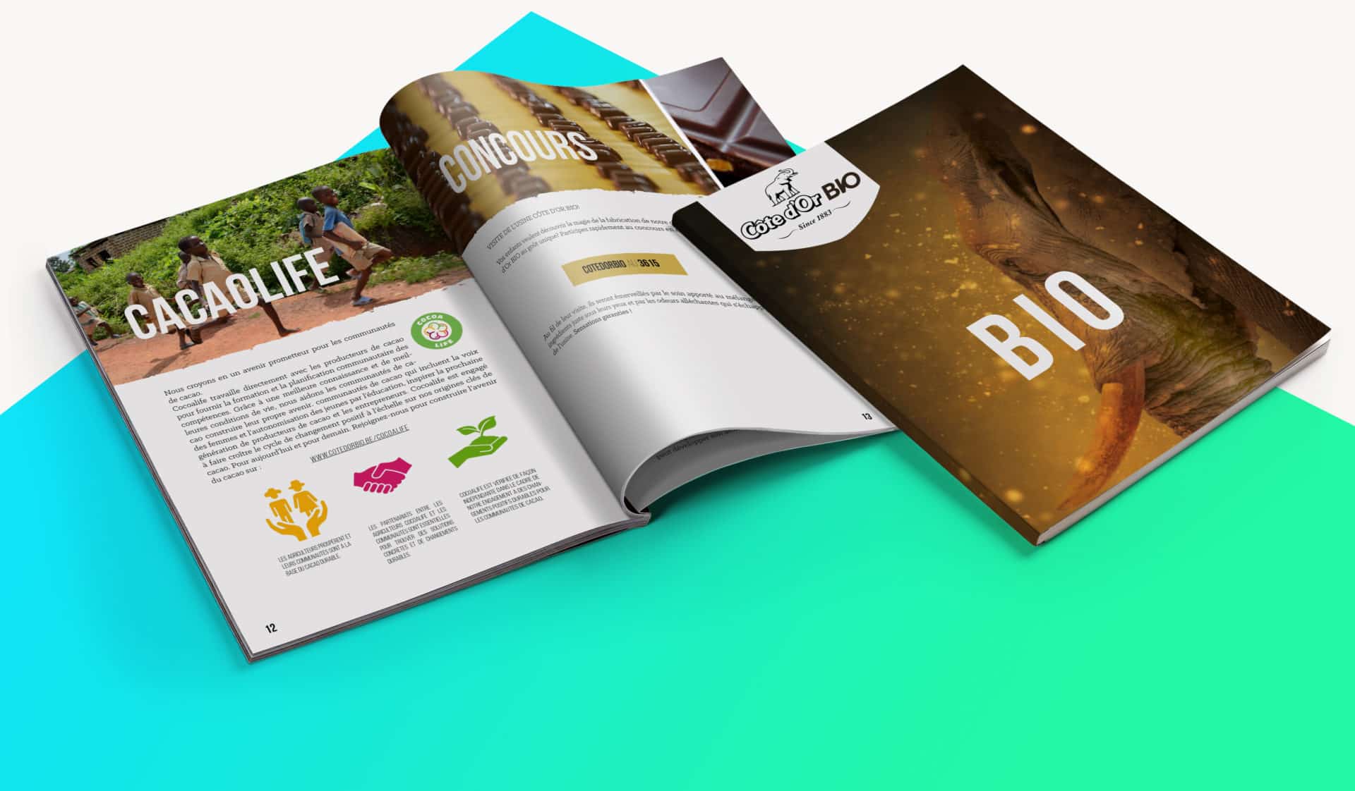 Côte d'or BIO 6 magazine cote dor bio adrien astierperet