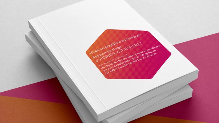 Province de Hainaut 8 rapport de stage infographie adrien astierperet